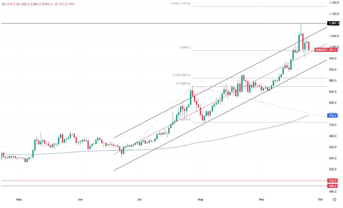 hero image for BNB Price Action